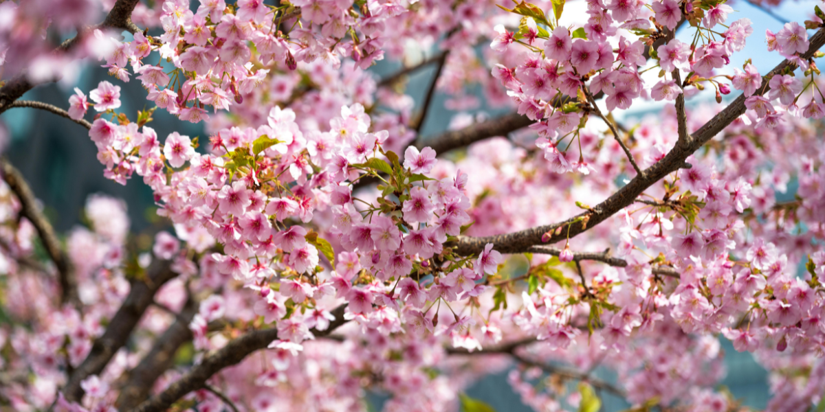 Blogové články - do textu_30